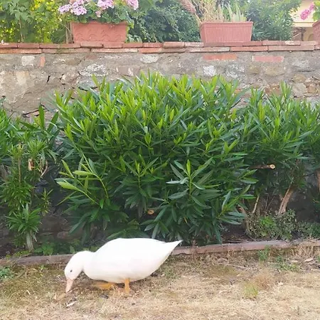 Casa di campagna La Stanza Del Sole *