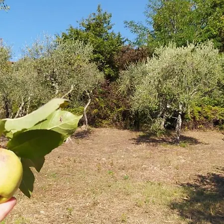 La Stanza Del Sole * Matraia