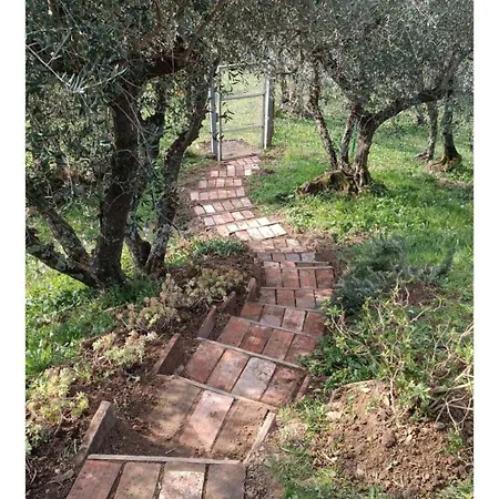 Casa di campagna La Stanza Del Sole Matraia